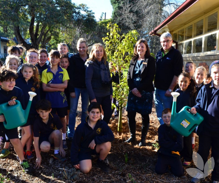 More Trees Please! Schools Tree Day 2014 Blog Speciality Trees