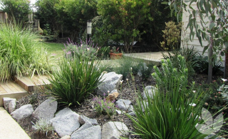 Low Maintenance Trees for Homes in Melbourne | Speciality Trees - Blog ...